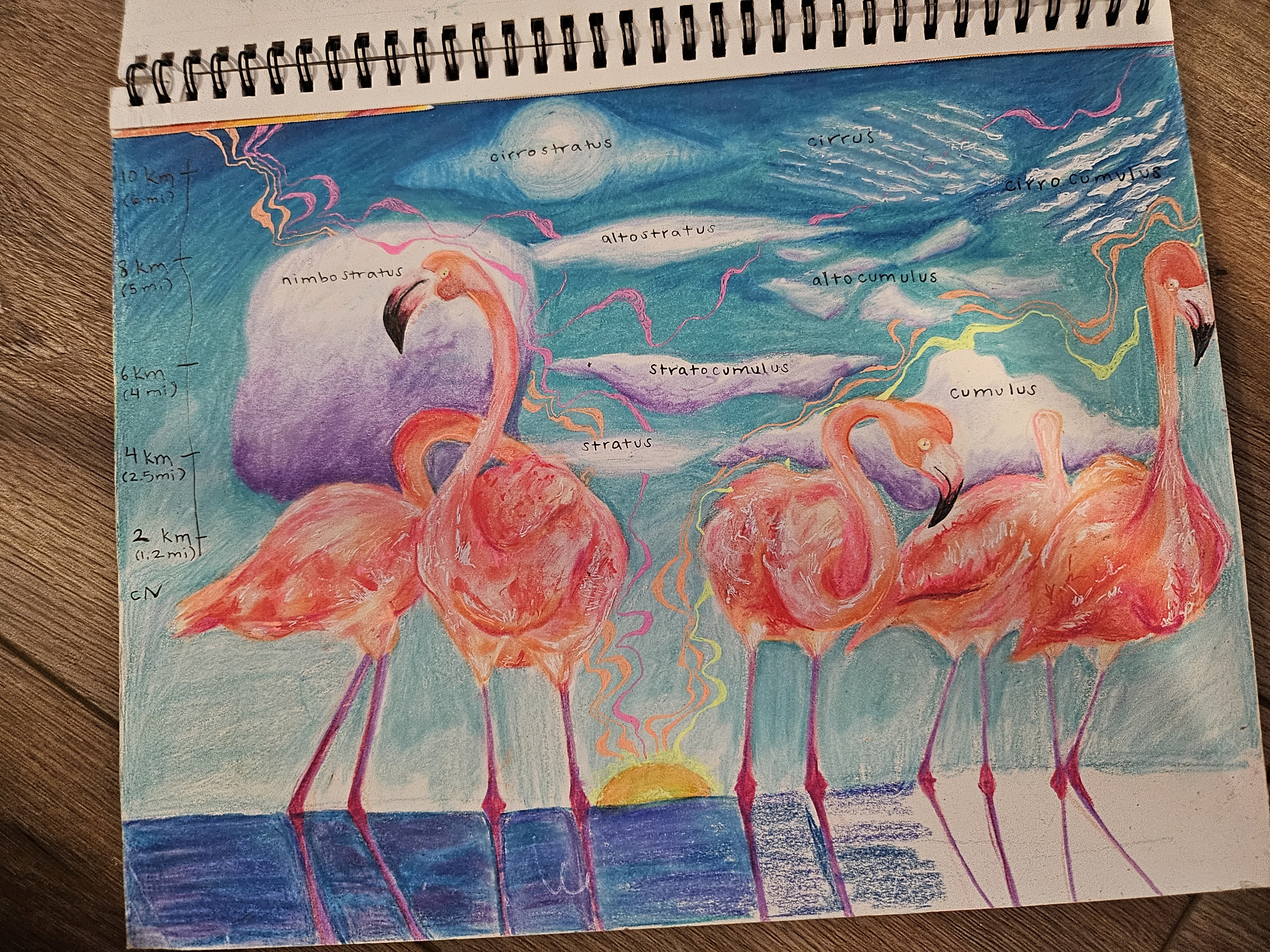 flamingo